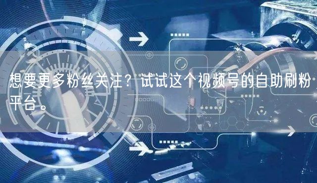 想要更多粉丝关注？试试这个视频号的自助刷粉平台。