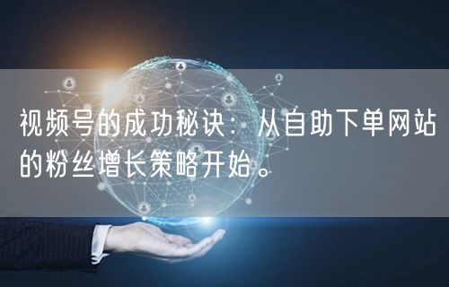 视频号的成功秘诀：从自助下单网站的粉丝增长策略开始。