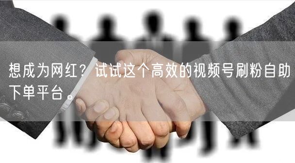 想成为网红？试试这个高效的视频号刷粉自助下单平台。