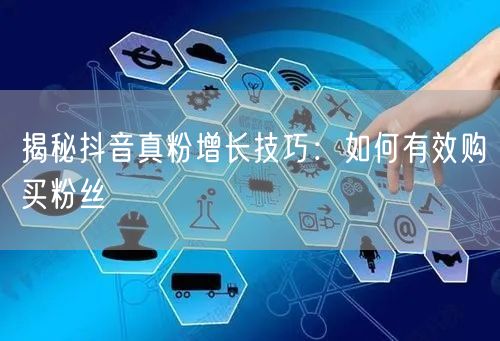揭秘抖音真粉增长技巧：如何有效购买粉丝