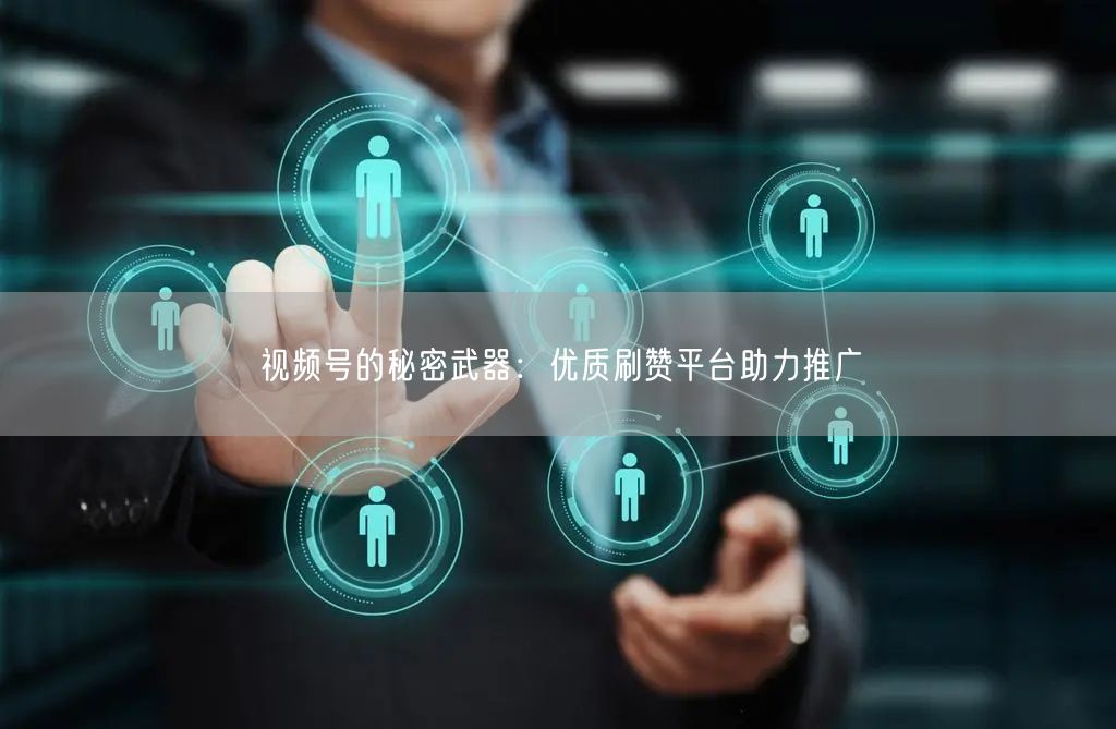 视频号的秘密武器：优质刷赞平台助力推广