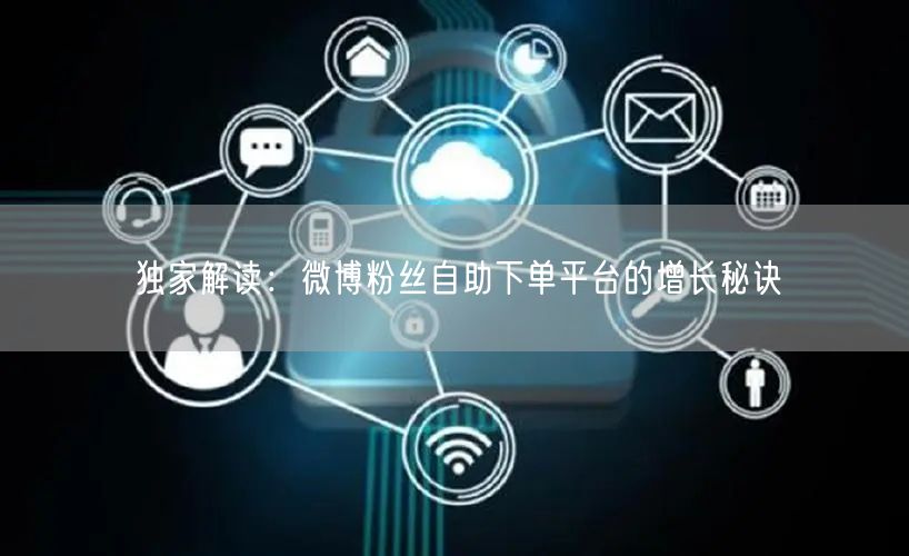独家解读：微博粉丝自助下单平台的增长秘诀