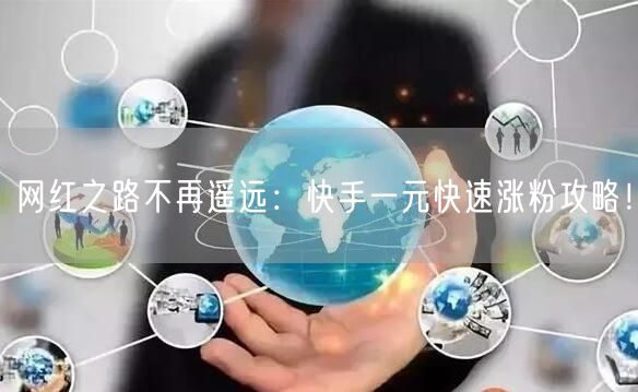 网红之路不再遥远：快手一元快速涨粉攻略！